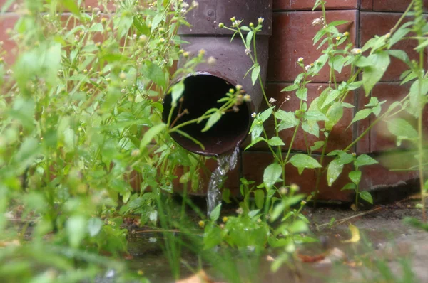 雨后水从阴沟里流出来 雨水的存留和排水 植物间排水管道 — 图库照片