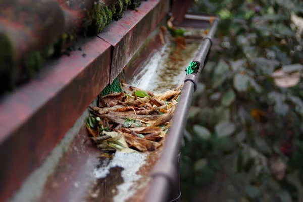 Plastic guard in gutter trough on a house roof. Anti leaves protection.