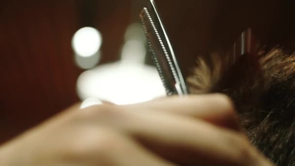 Κοντινό πλάνο της clipper χτένισμα μαλλιών. Αργή κίνηση — Αρχείο Βίντεο