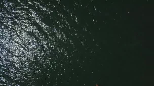 Luftaufnahme einer Drohne von Gruppen-Kajak im See. Ansicht von oben — Stockvideo