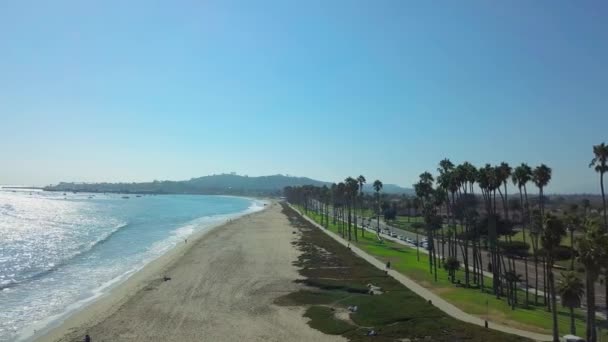 Drone vista aerea drone sta volando verso l'alto spiaggia con grandi palme — Video Stock