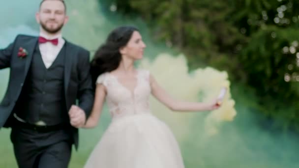 Весільна пара займається кольоровим димом у парку. Повільний рух — стокове відео