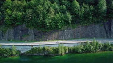 Gümüş renkli araba sürüş ülke yolda orman ve göl hava görünümünü güneşli bir gün