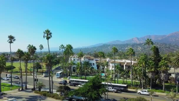 Antenn skott som flyger över palmer vid stranden i Santa Barbara. i solig dag — Stockvideo