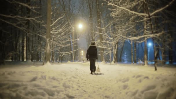 Chica está caminando con el perro en la carretera de invierno en el parque. Tiempo nocturno — Vídeo de stock