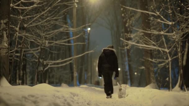 Chica está caminando con el perro en la carretera de invierno en el parque. Noche. Tiro medio. — Vídeos de Stock