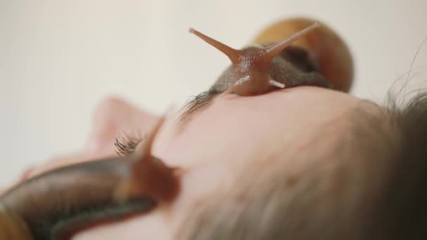 极端关闭两个蜗牛吃死皮对一个年轻的女人在水疗中心接受面部按摩与蜗牛阿查蒂娜。蜗牛吃产的死皮。最后, 它让皮肤光滑 — 图库视频影像