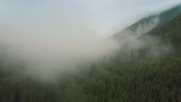 Vuelo místico y nebuloso sobre la selva tropical en la montaña. plano medio — Vídeos de Stock