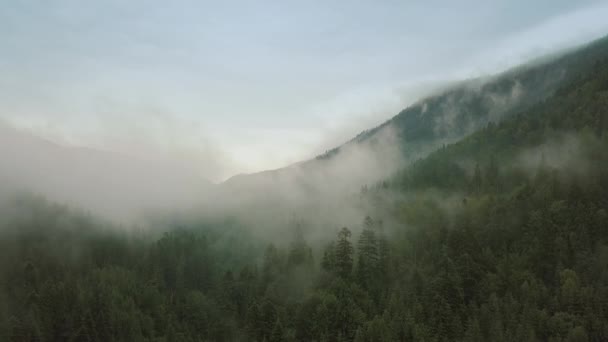 Mystic i mglisty lot Drone nad lasem deszczowym w górach. Zamknij widok. Przenieś w górę — Wideo stockowe