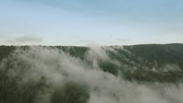 Vol de drone mystique et brumeux au-dessus de la forêt tropicale en montagne. Voler au-dessus du brouillard — Video