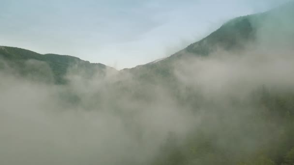 神秘和迷雾的无人机在山上的雨林上空飞行。中间视图。向后移动 — 图库视频影像