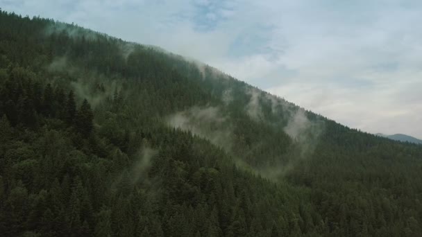 山の熱帯雨林の上に神秘的で霧のドローン飛行。ビューを閉じます。静的 — ストック動画