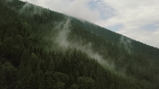 Mystic i mglisty lot Drone nad lasem deszczowym w górach. Widok statyczny — Wideo stockowe