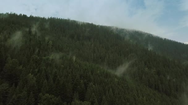 Voo drone místico e nebuloso sobre a floresta tropical na montanha. Vista próxima. Mova a câmera — Vídeo de Stock