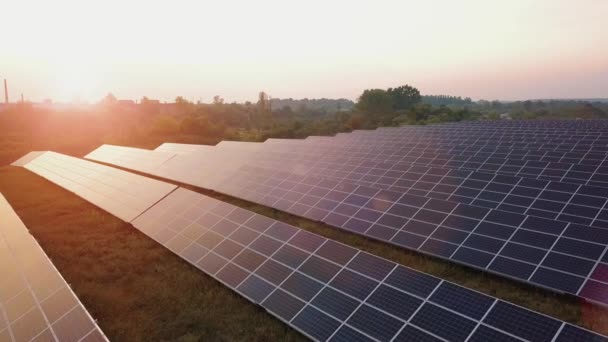 Політ безпілотника на заході сонця над сонячними панелями ферма Зелена енергія ver 8 — стокове відео