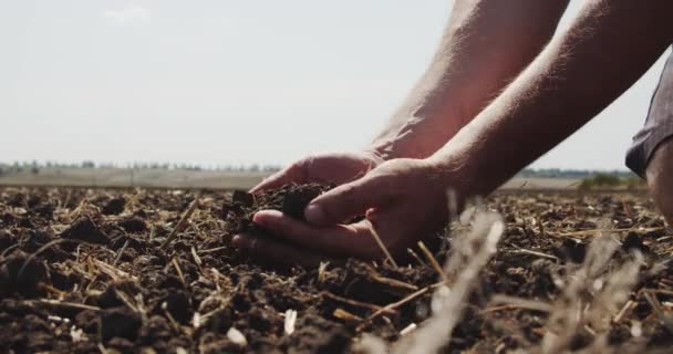 Bauernhände halten eine Handvoll Erde in der Hand und schütten sie an sonnigen Tagen durch die Finger zurück auf das Feld. Seitenansicht Zeitlupe Nahaufnahme ver 2 — Stockvideo