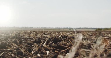 Çiftçi elleri toprak bir avuç tutar ve güneş ışınları ile güneşli bir günde sahada parmakları ile geri dökerek. Yan görüş Yavaş hareket Ver 4'e yakın