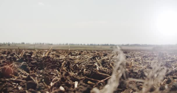 Bauernhände halten eine Handvoll Erde in der Hand und schütten sie an sonnigen Tagen mit den Sonnenstrahlen wieder durch seine Finger auf das Feld. Seitenansicht Zeitlupe Nahaufnahme ver 5 — Stockvideo