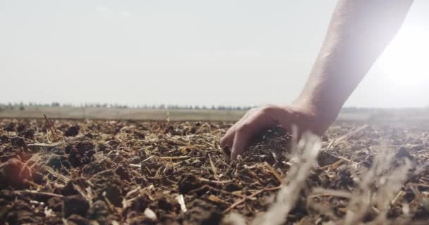 Boer handen houdt een handvol grond en giet het terug door zijn vingers op het veld in zonnige dag met de zonnen stralen. Zijaanzicht Slow Motion close up ver 6 — Stockvideo