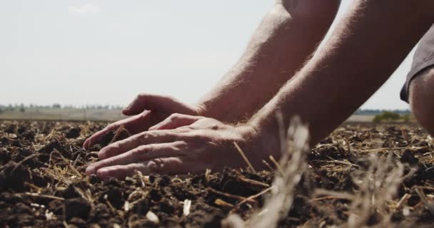 Manos de granjero sostiene un puñado de tierra y verter de nuevo a través de sus dedos en el campo en el día soleado. Vista lateral Cámara lenta Primer plano Ver 3 — Vídeo de stock