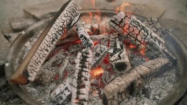 Pomalý pohyb horký oheň hořící dřevo s uhlím na zemi — Stock video
