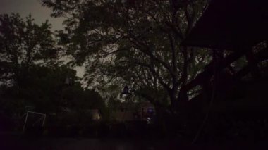 Fırtına. Hard Rain, banliyölerde şimşek, sokaktaki ağaçlarla gece leyin gök gürültüsü. Yakın çekim