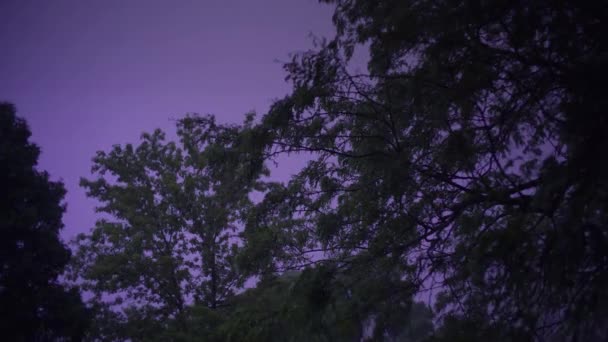 Гроза. Жесткий дождь с громом в ночи с молнией в пригороде, деревья на улице Закрыть Ver 3 — стоковое видео