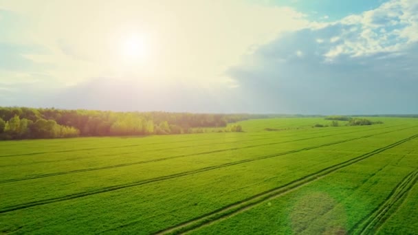 Beautiful nature, aerial drone view on rural countryside landscape, shining sun sunset sky horizon — Stock Video