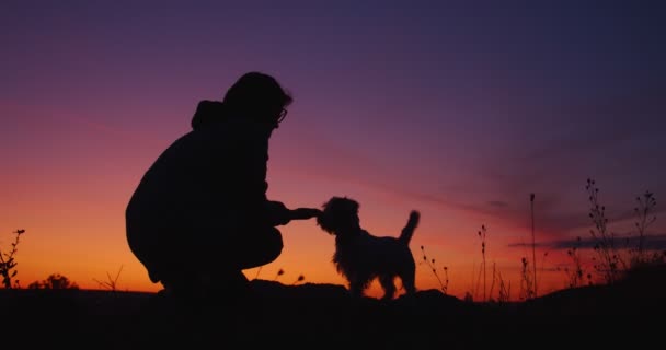 Silhouetten: Vrouw met hond speelt met hond bij zonsondergang. . 4k slow motion schot — Stockvideo