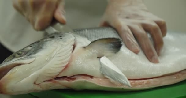 Las manos del chef preparan pescado crudo congelado sobre tabla de cortar. en la cocina Primer plano. Cabeza cortada. Movimiento lento — Vídeo de stock