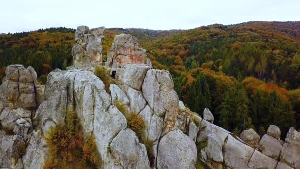 Uitzicht op de drone vanuit de lucht, grote rotsen in de herfstkroon van bomen, dennen, schoonheid van de natuur. Beelden. — Stockvideo