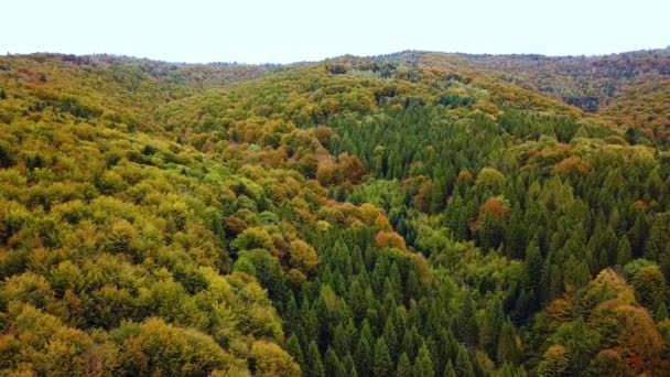 Vue aérienne sur drone automne couleur forrest, révélant fjeld tunturi montagnes, par un jour d'automne ensoleillé et pluvieux. Ver 4 