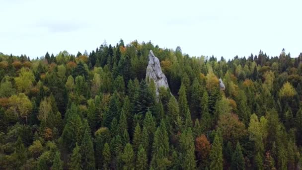 Uitzicht op de drone vanuit de lucht, grote rotsen in de herfstkroon van bomen, dennen, schoonheid van de natuur. Beelden. Ver 6 — Stockvideo