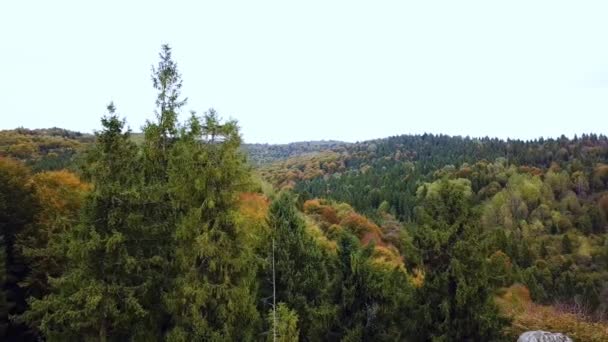Aerial drone view autumn color forrest, revealing fjeld tunturi mountains, on a sunny and rainy fall day. Ver 8 — Stock Video