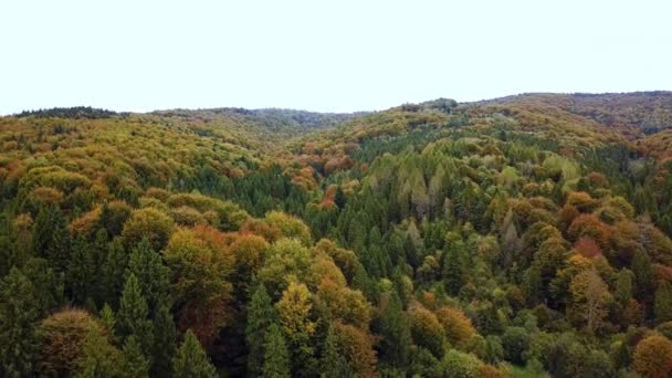 Aerial drone view autumn color forrest, revealing fjeld tunturi mountains, on a sunny and rainy fall day. Ver 9 — Stock Video