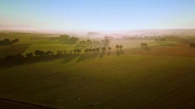 Hava aracı görüntüsü. Güzel doğa, geniş kırsal alan, mısır tarlaları ve yol manzarası. Parlayan güneş günbatımı gökyüzü ufku