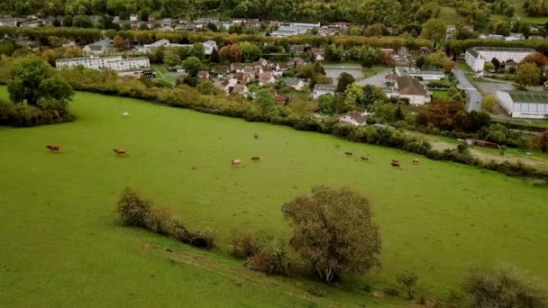 Aerial view. Working farm, barn and buildings. Upstate France. Midle shot Ver 3 — Stock Video