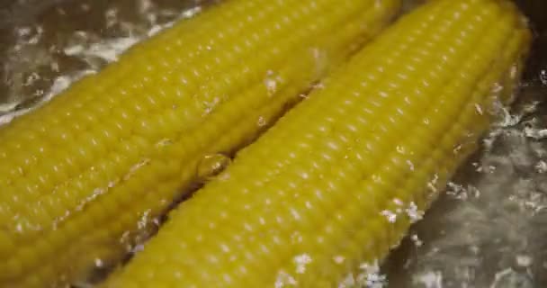 Al rallentatore. Matura spighe di grano in acqua bollente per buona salute. Granturco giallo in pentola calda caldaia. Da vicino. — Video Stock