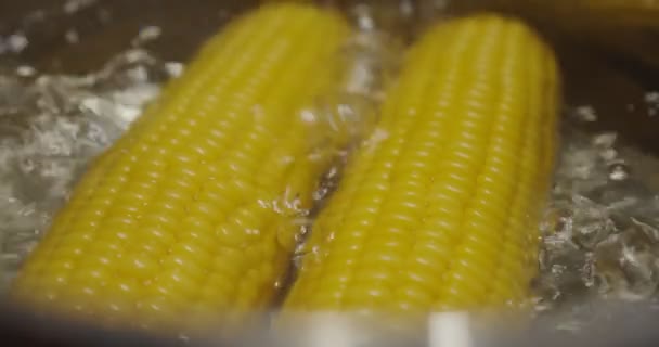 慢动作 用开水煮熟的玉米穗,有利于健康. 热锅炉里的黄色玉米. Ver 2 — 图库视频影像