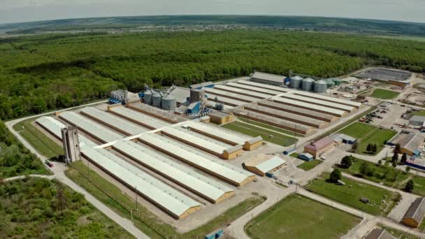 Drohnenaufnahme einer großen Schweinemastanlage aus der Luft vor dem natürlichen Hintergrund. — Stockvideo