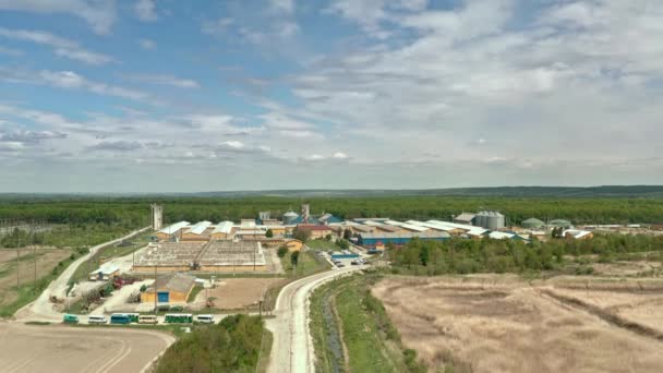 Aerial drone view of large animal pig farm on the natural background. flying up — Stock Video