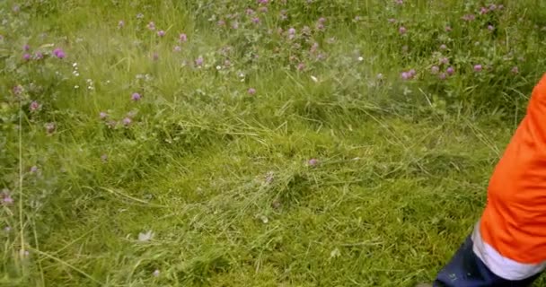 Работник в оранжевом комбинезоне косит траву на газоне газонокосилкой, замедленный вид сзади — стоковое видео