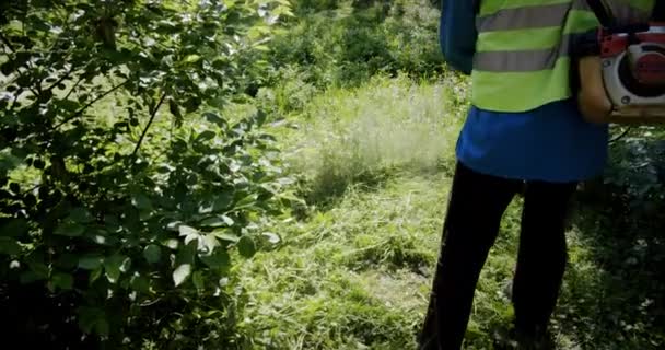 Рабочий косит траву на газоне газонокосилкой, замедленная съемка Мидель . — стоковое видео