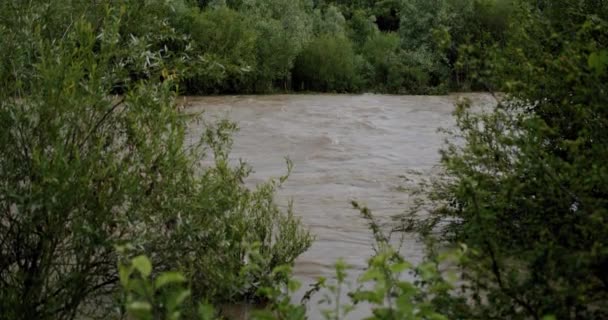 Ποτάμι νερό μεγάλο και βρώμικο μετά από δυνατή βροχή. Αργή κίνηση. — Αρχείο Βίντεο