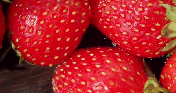 Frische Erdbeeren, die sich langsam drehen. Makro aus nächster Nähe. Ansicht von oben drehen — Stockvideo