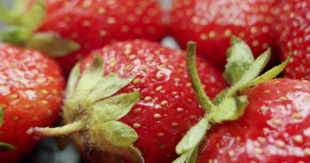 Drehen Sie die Ansicht, frische Erdbeeren, langsam rotierend. Makro aus nächster Nähe. — Stockvideo