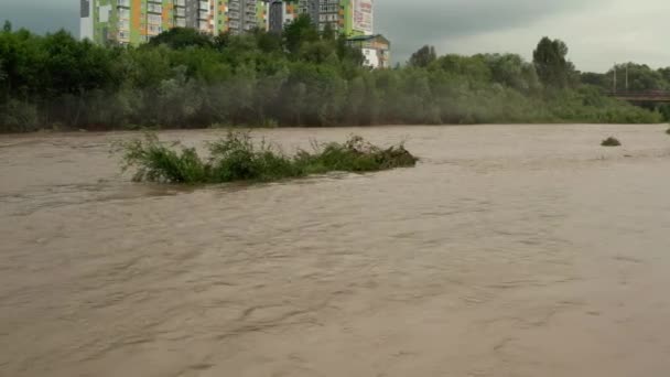 Αεροφωτογραφία τηλεκατευθυνόμενου. Ποτάμι νερό μεγάλο και βρώμικο μετά από δυνατή βροχή. πεσμένα δέντρα στη μέση του ποταμού, έντονες βροχές — Αρχείο Βίντεο
