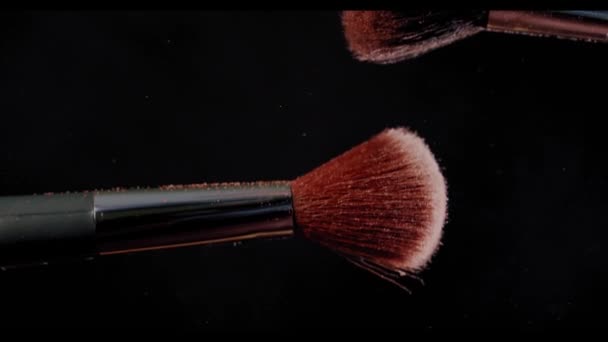 Two Make-up brush with powder on black background with sunlight Colour Paint Concept Slow Motion. vertical concept — Stock Video