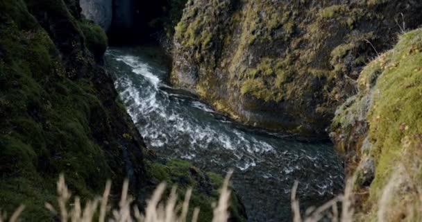 Fjadragljufur river canyon, steep rock walls, slow forward shot, Iceland. Midle shot — Stock Video