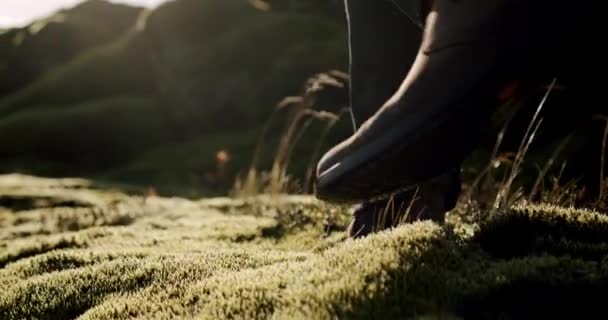 A close up view of a man 's legs in brown boots walking on green moss and grass after rain somewhere in iceland, lost in nature, adventure explorer concept — стоковое видео